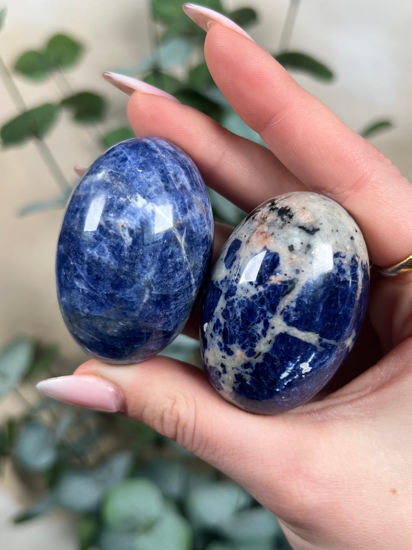 Sodalite Shivas (intuitive)